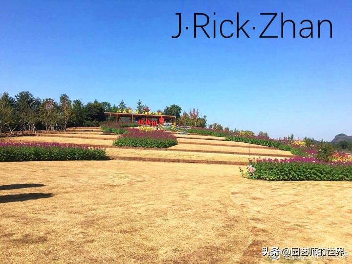 怎么种植草坪不长杂草,如何养好草坪