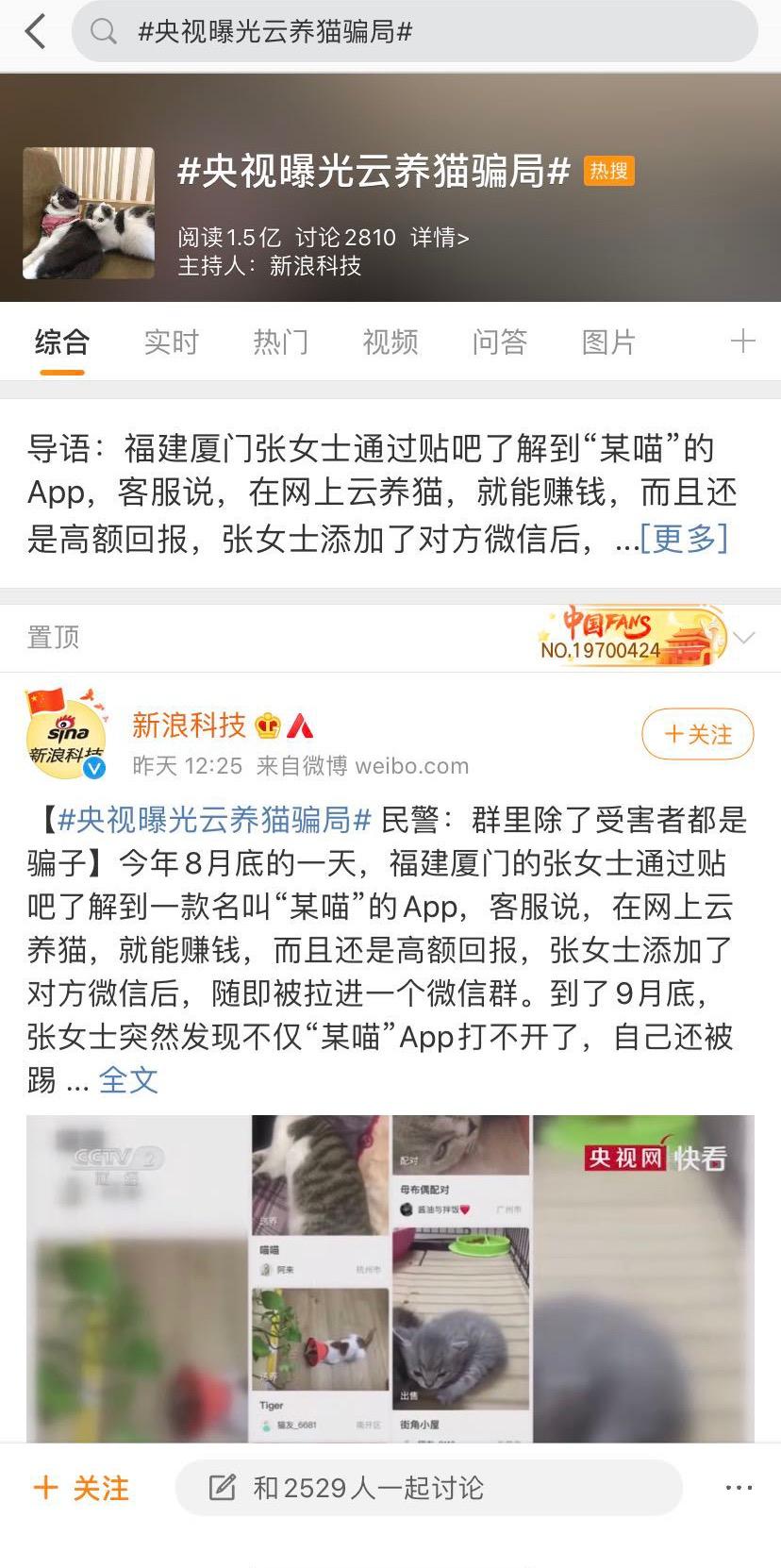 云养猫大概是什么时候出现的,为什么更多的人喜欢云养猫