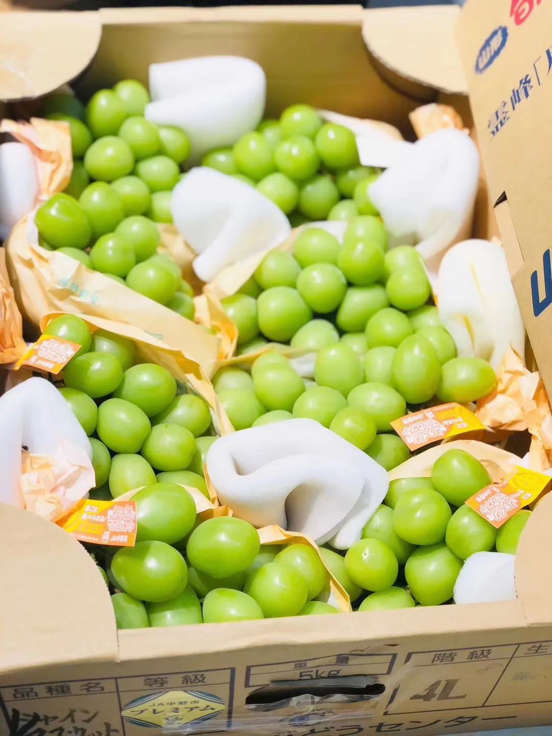 CBD里的Chloe、AmandaandKatharine,都在㳽到脑壳买农副产品