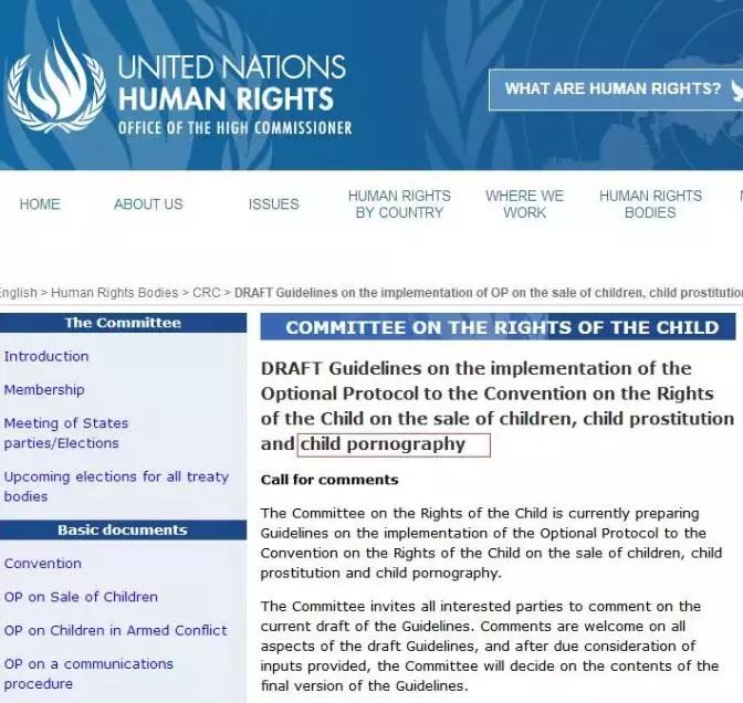 日本同人展出现问题，外国人想买却不敢买，带回国甚至会违法