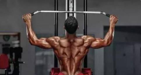 背肌进阶练习小朋友,背肌训练新手开始怎么练