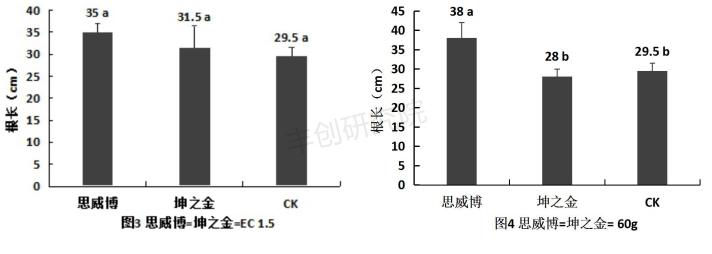 玉米苗黄死苗什么原因,玉米苗施尿素后死苗怎么回事