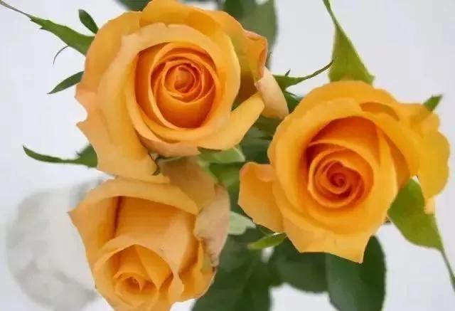 每天学习一点点女性小常识,每天学习一点点科普一下