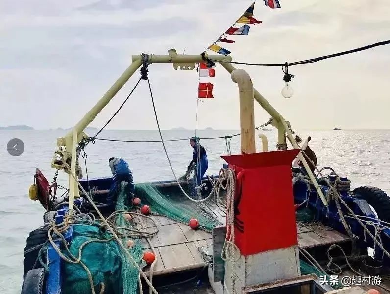 浙江人怎样吃海鲜,浙江吃海鲜很简单