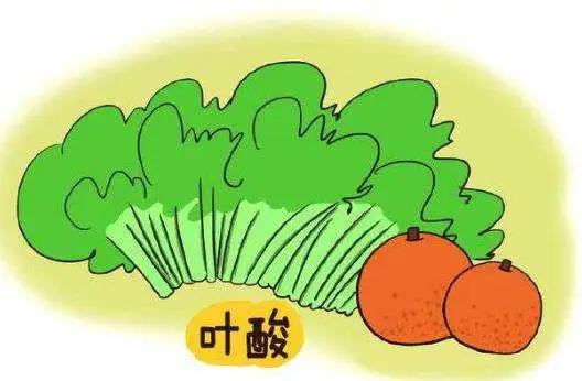 妈咪全知道鳕鱼肠,妈咪全知道官方