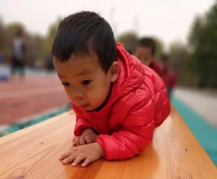 爱上幼儿园第一季全集,爱上幼儿园