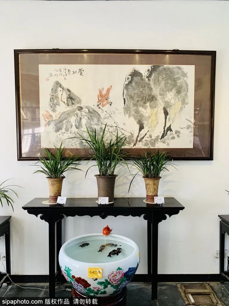 别错过京城这些公园已有别样风景,北京看花海最好的地方