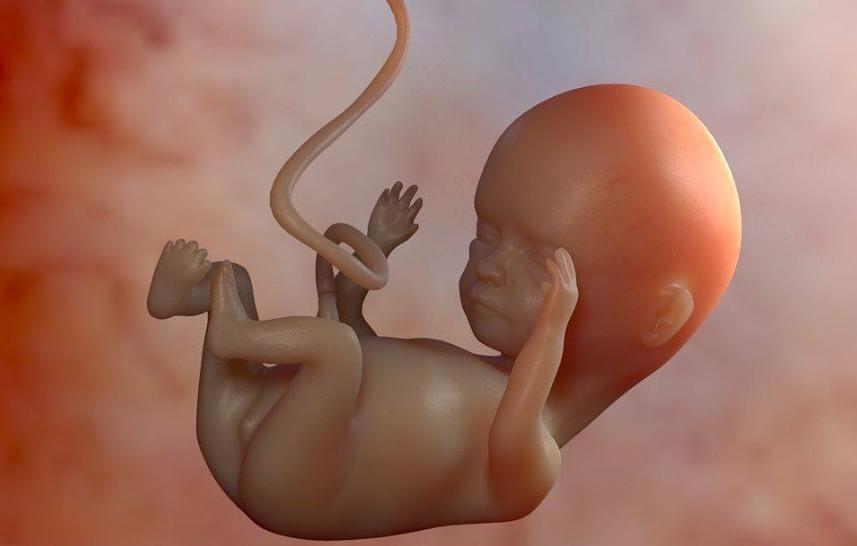 23周宝宝胎位固定了吗,怀孕30周胎位在臀位会不会有危险