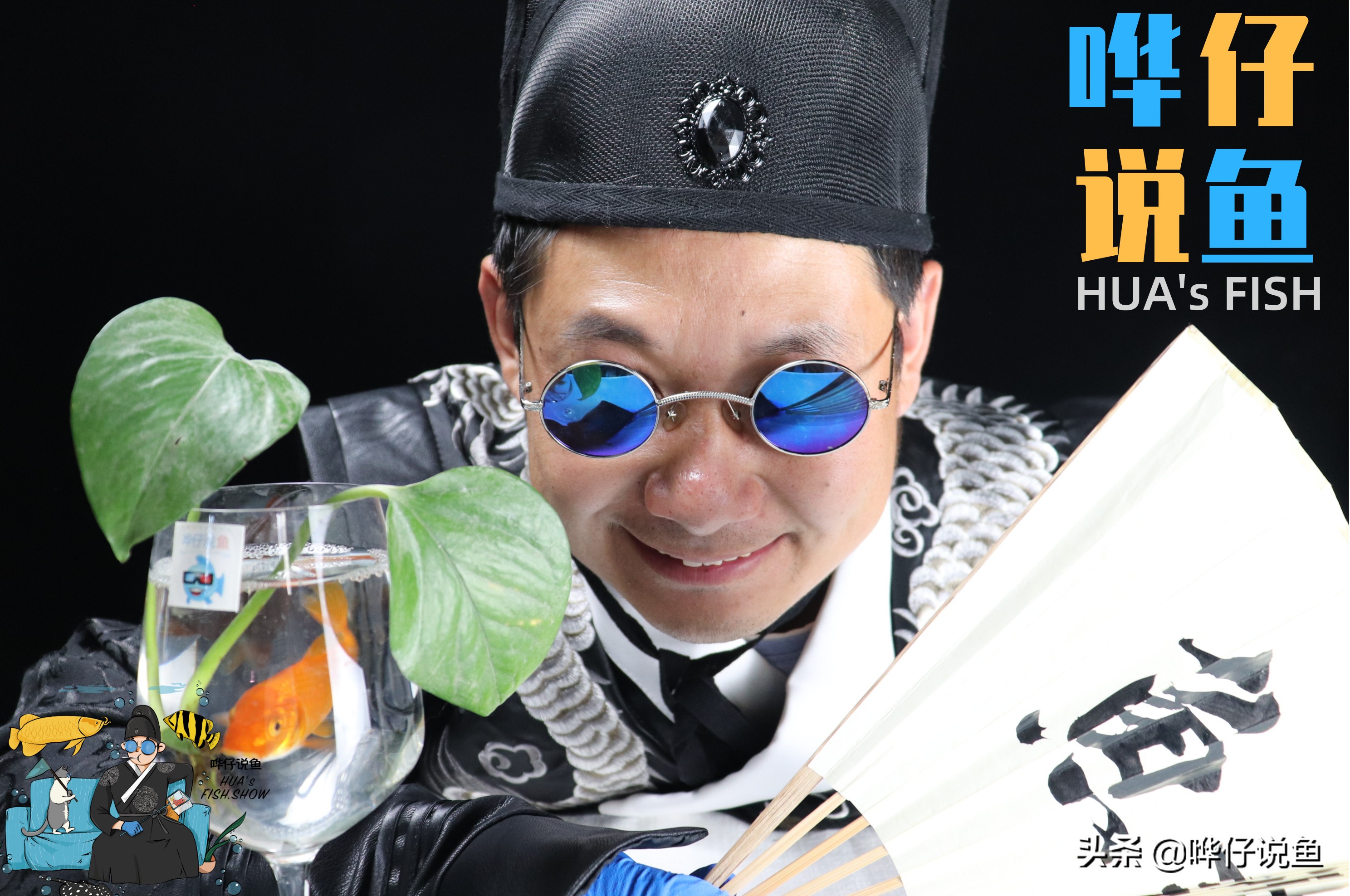 喂观赏鱼红虫和虾肉哪个好,观赏鱼喂丰年虾还是饲料长得快