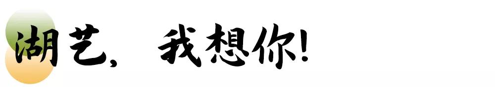 母校我想你,想你母校