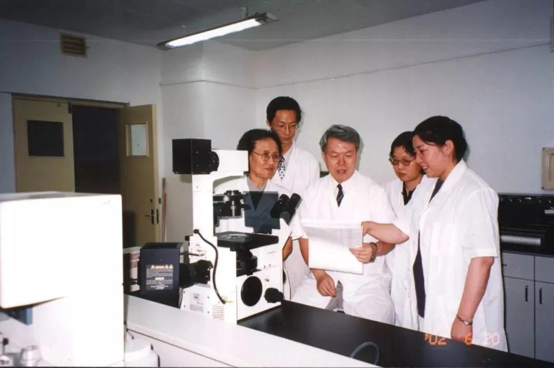 五味子治疗肝炎靠谱吗,五味子和双环醇哪个好