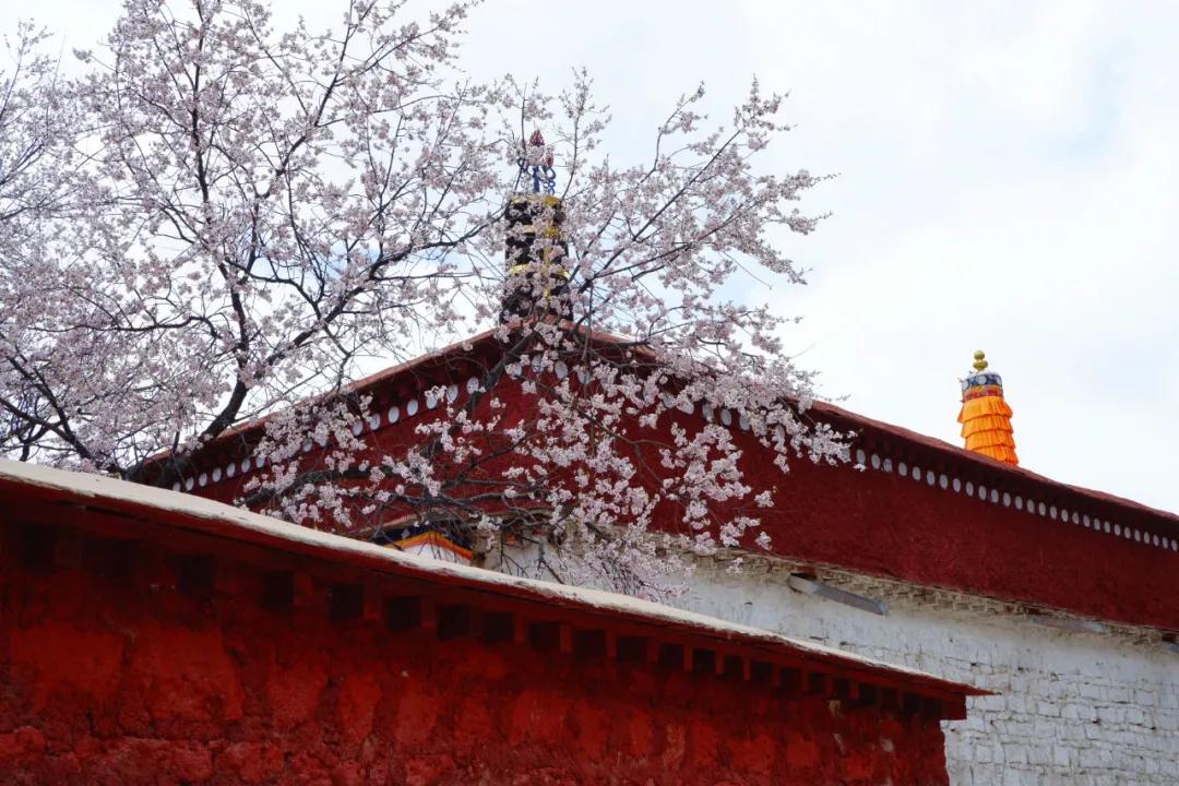 吐血整理！拉萨拍照最美的6个地方，轻轻松松拍出大片