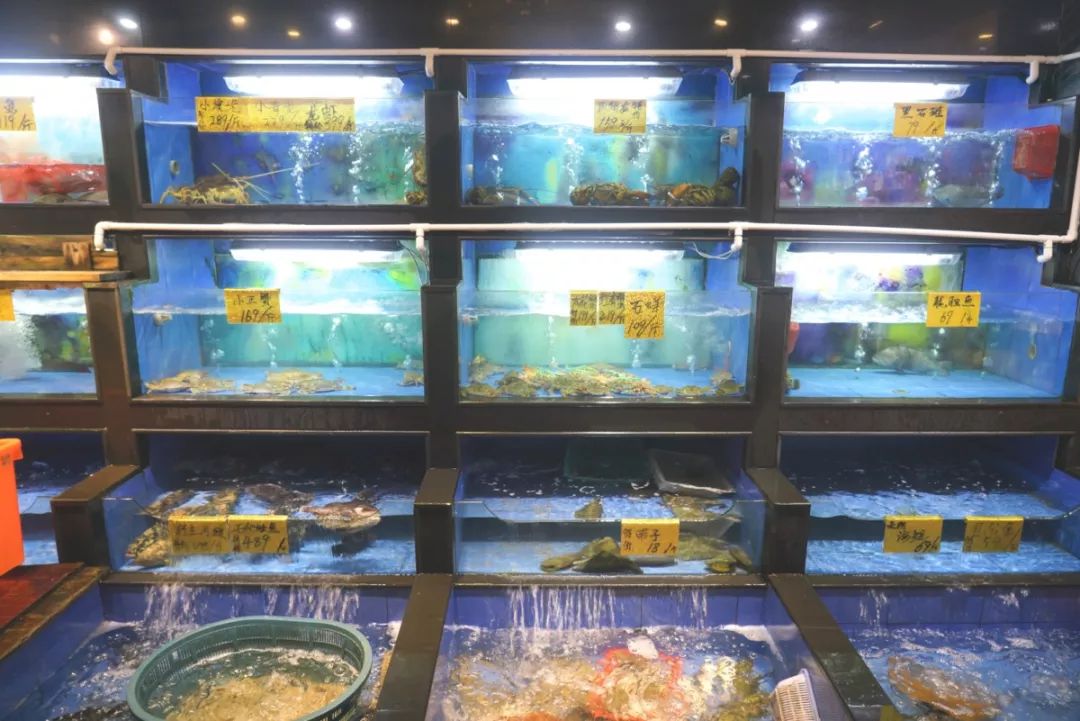 人均30就可以吃广式甜品,福建霞浦海鲜一条街哪家店最好吃