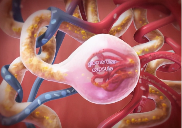 肾虚是怎么回事啊,肾虚怎么解释