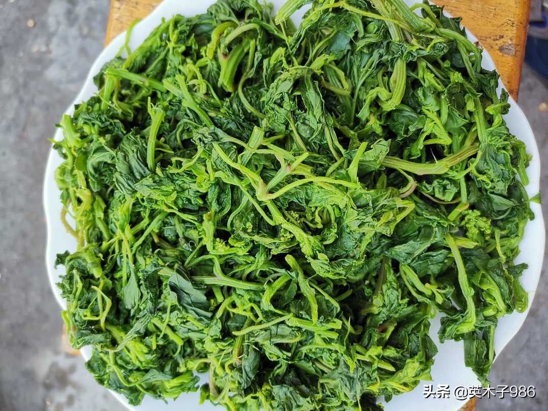 补贫血野菜有哪些,青青菜野菜能补血吗