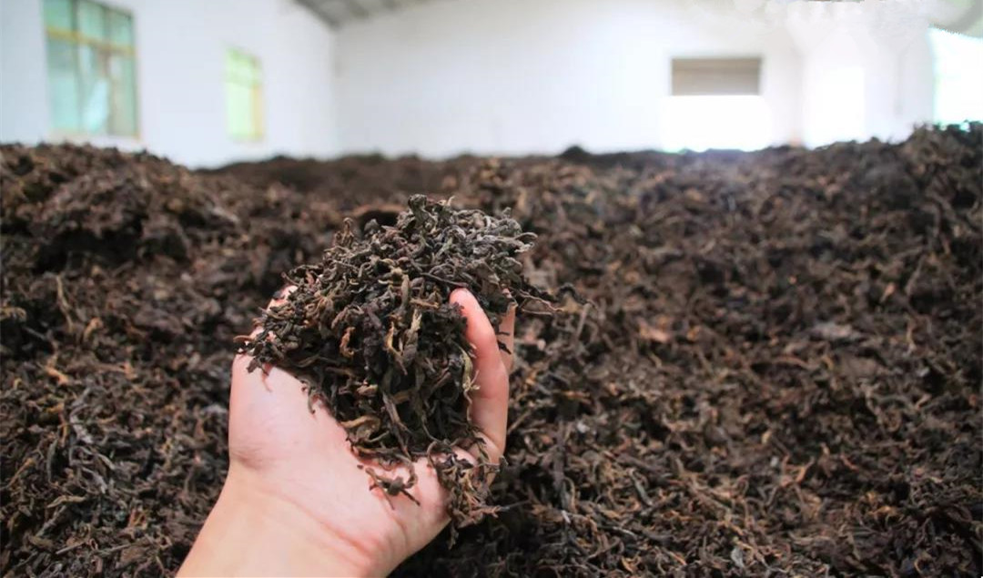 普洱茶熟茶压制方法是什么,普洱生茶紧压茶的正确打开方式