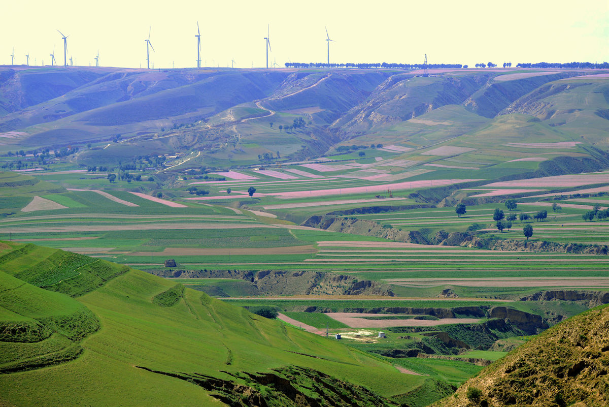 定边人大主任,定边人事调整卫生局局长公示