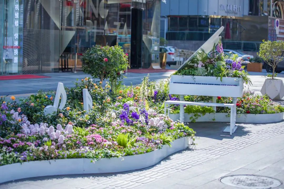 深圳花展2019年12月时间表,深圳第一场春天花展