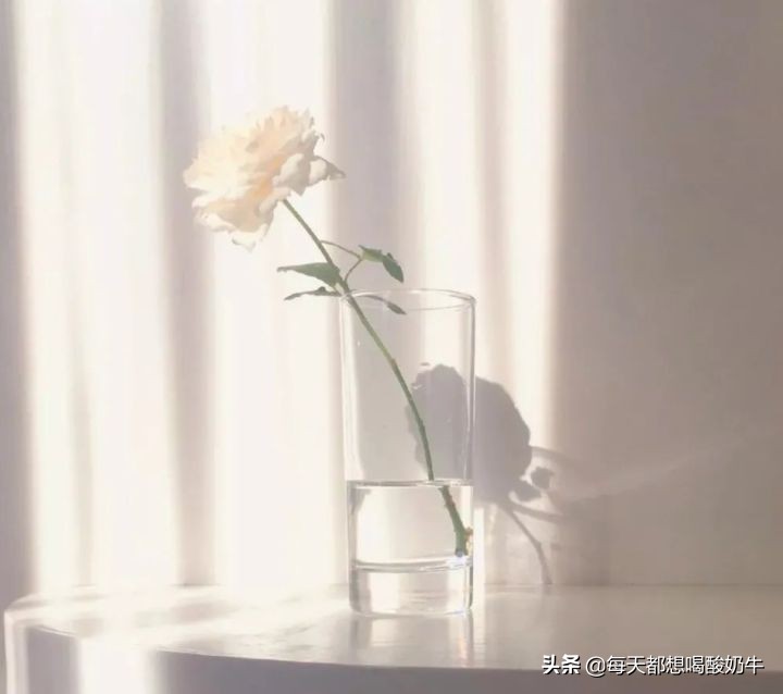 哪些品牌面霜对大干皮比较适合,给大家推荐一款非常好用的面霜