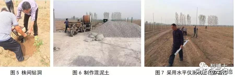 梨园防鸟网搭建最佳办法,怎样铺防鸟网