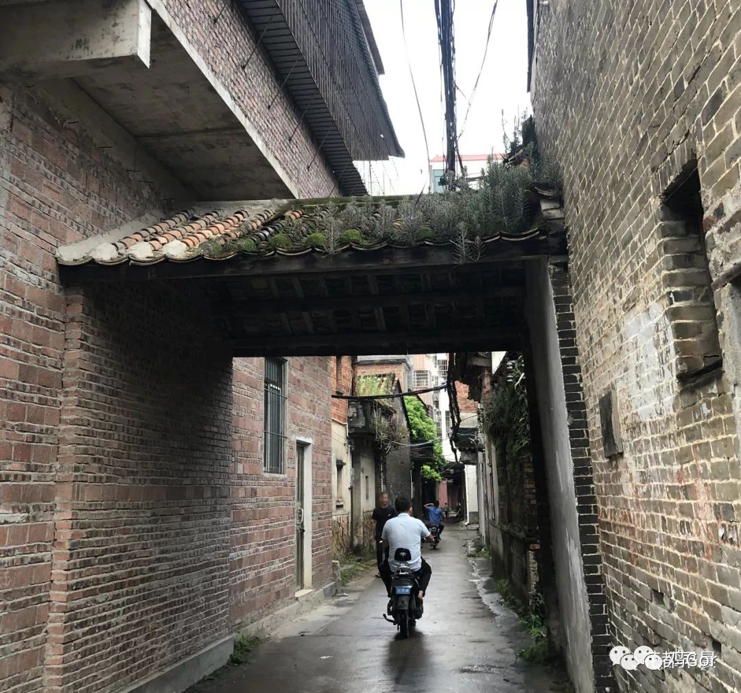 花都东镜村旧改2023计划,花都旧改重点