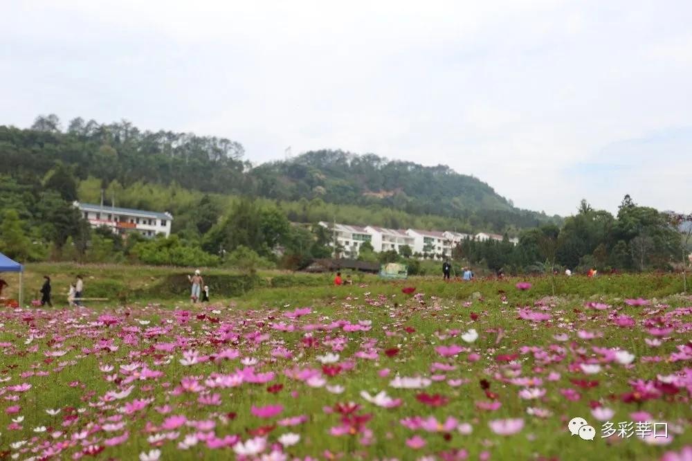 中国绿都最氧的三明将乐,中国绿都最氧三明康养之旅