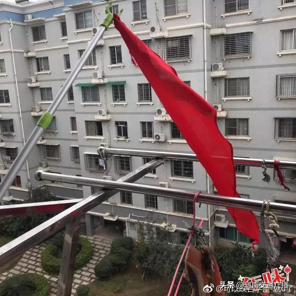 鸟儿偷吃香肠腊肉,香肠腊肉挂外面被鸟吃