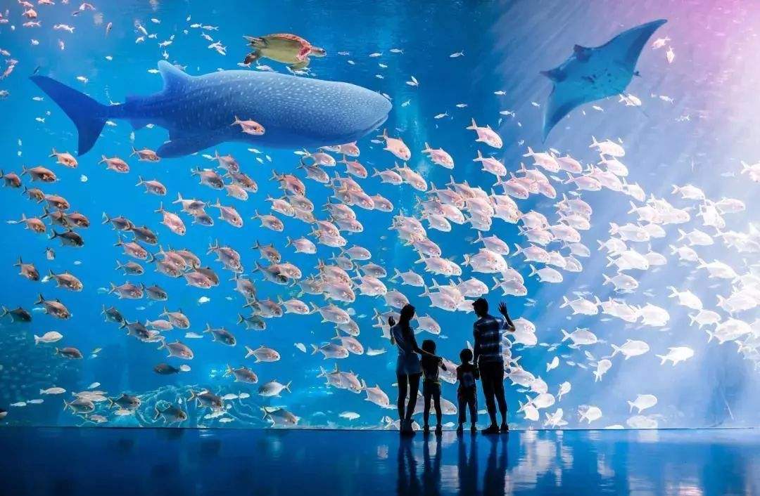 珠海最值得去的十大景点,珠海值得去的旅游景点