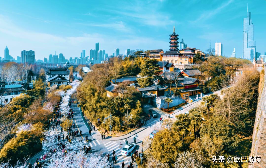 南京金陵城全景,南京金陵酒店新楼有多少米高