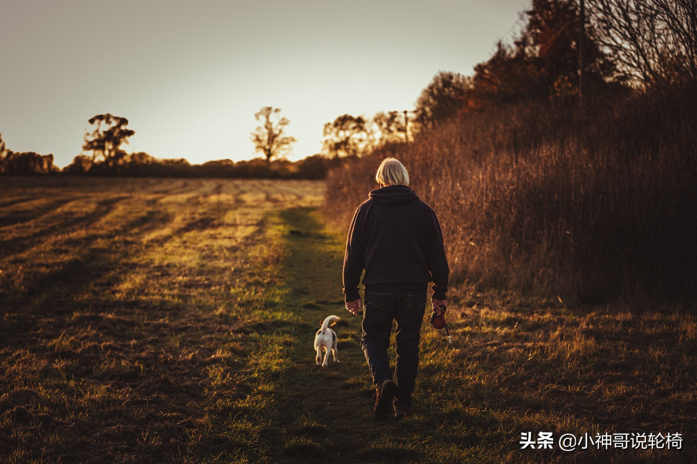 老人电动轮椅是弹簧好还是弹垫好,英洛华老人轻便电动轮椅的选择