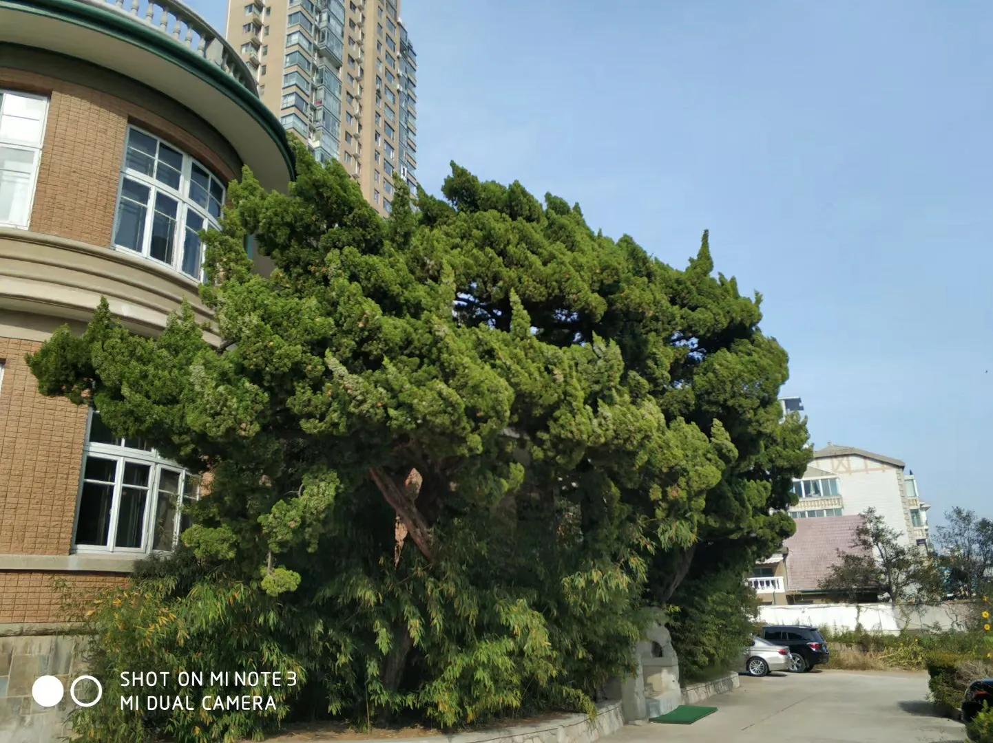 大连黑石礁西故宫,大连黑石礁故居