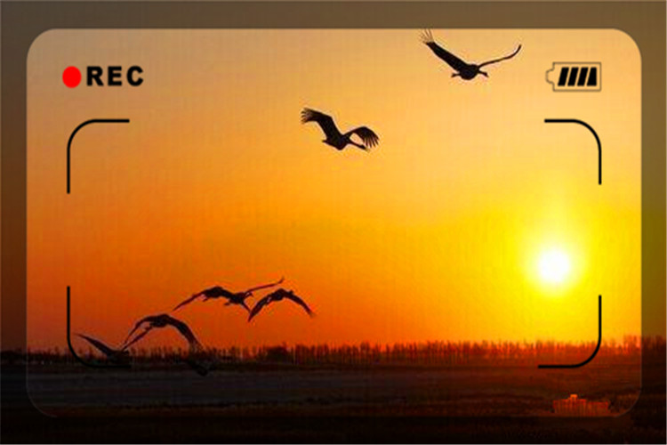 当一个人绝望的时候该怎么办,一个人经历绝望