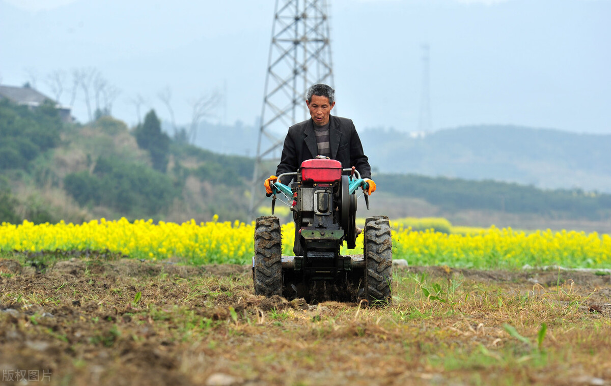 2021农民种地补贴多少钱一亩,1974年前出生的农民2021有补贴吗