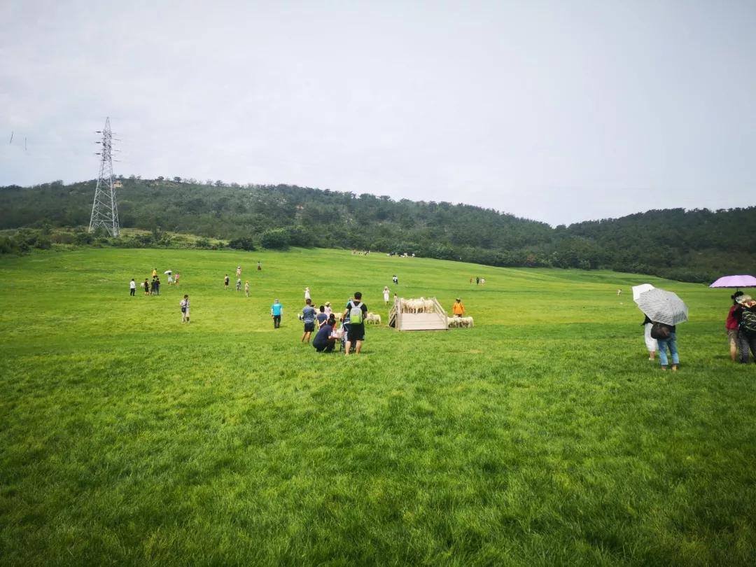 大连旅游攻略精致景点推荐,大连必去的打卡景点