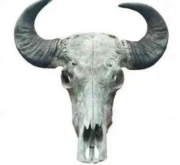 中国古代养殖业史,中国古代畜牧业发展历程