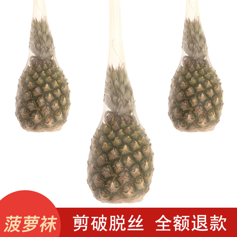 打底袜批发,蚕丝袜批发