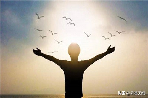 costco测评推荐,costco以低价取胜