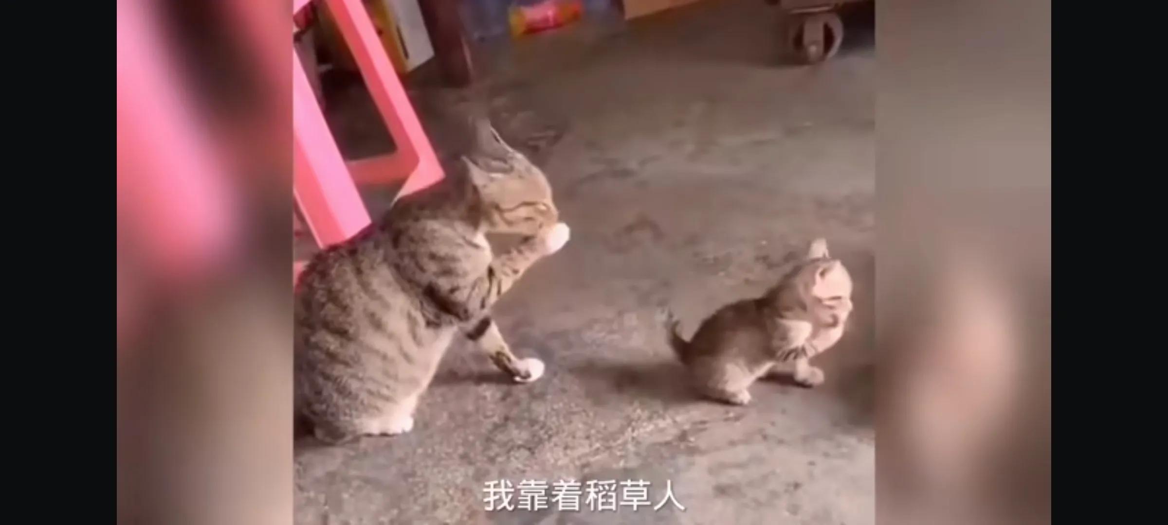 考研单词APP推荐,磨一磨的磨多音字