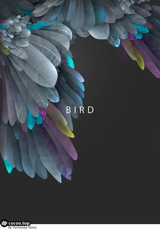 色彩搭配中常用配色方式,色彩搭配实战技巧轻松学配色