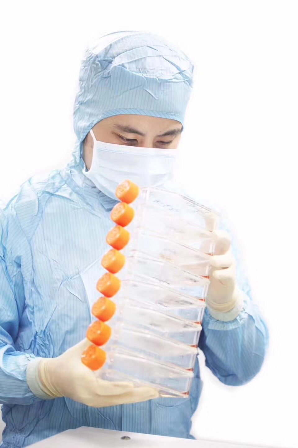 为什么说干细胞储存刻不容缓,干细胞储存知识普及是做什么的