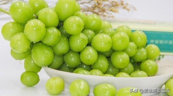 获得创业好点子的八大窍门,五个草根创业点子