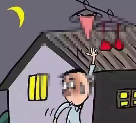 恋物：插翅而“飞”的贴身衣物