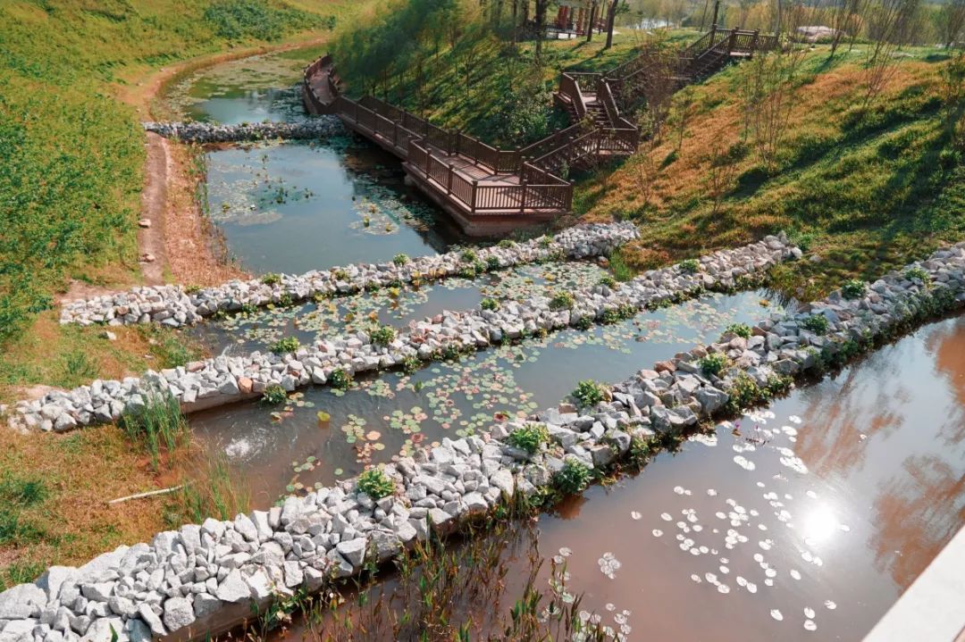 人少还免门票！深圳这片5000000㎡新公园美翻了，“神仙花谷”