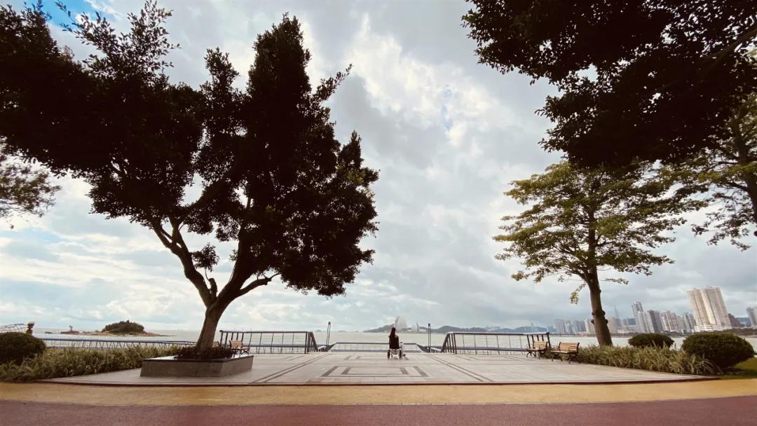 珠海15岁女孩被货车碾压身亡后续,广东珠海15岁少女被车撞死