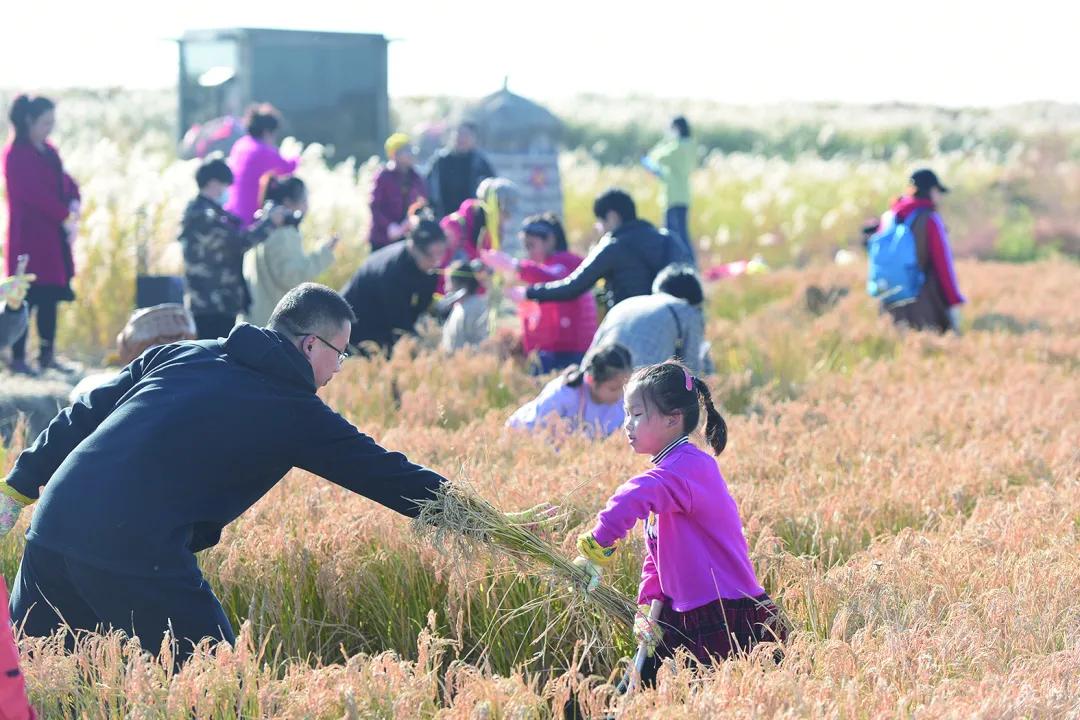 2020年9月25日盘锦新闻视频,盘锦市最新消息公众号