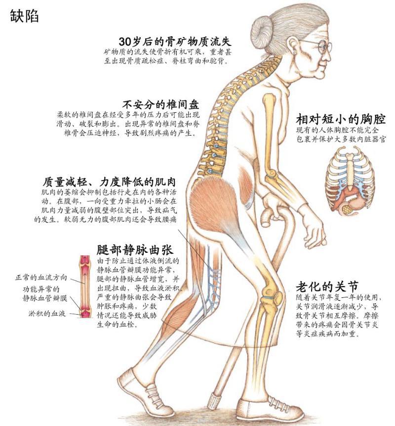 骨质疏松吃氨糖软骨素钙片有用吗,骨质疏松的钙片哪个好