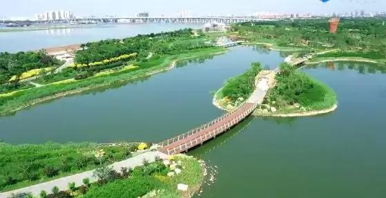 未来的天津,未来的天津市河西区