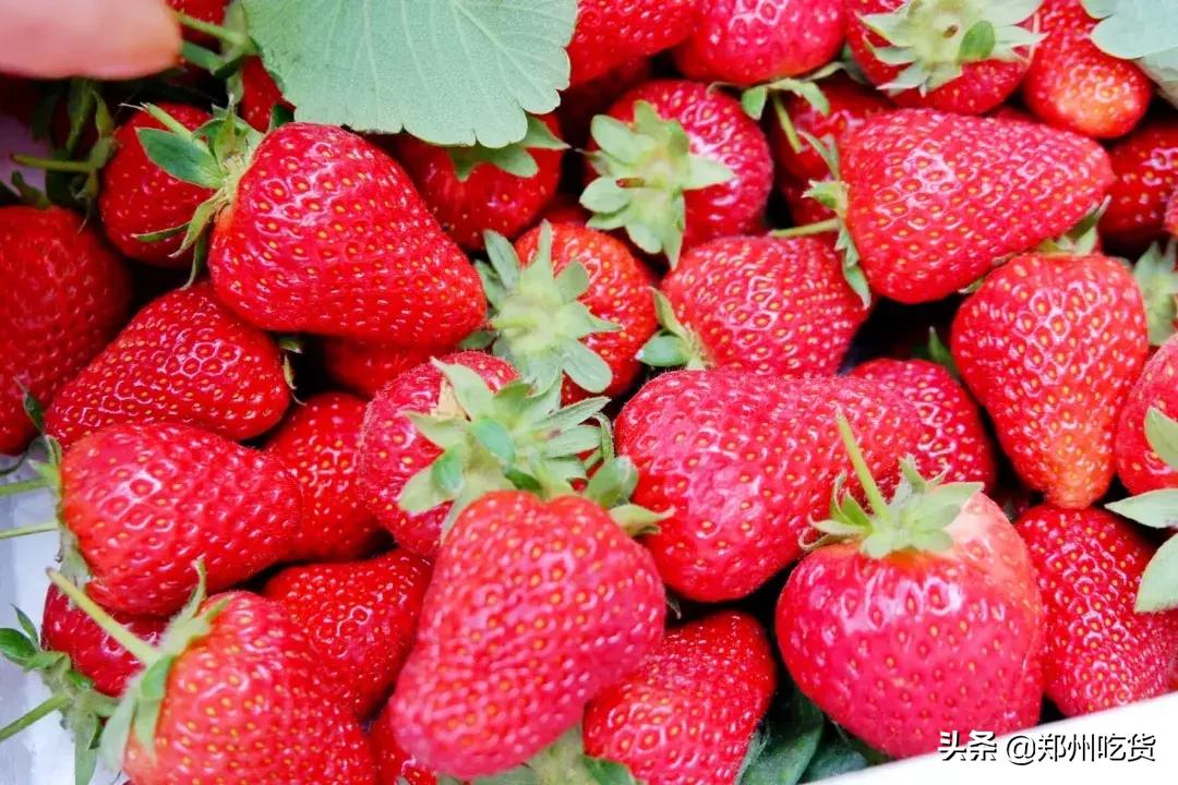 郑州哪个批发市场最便宜,最新最全郑州批发市场一览表