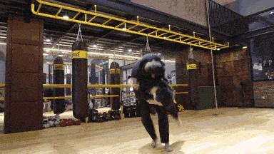 在格斗中力量和技巧哪个更重要,格斗教你一招制敌