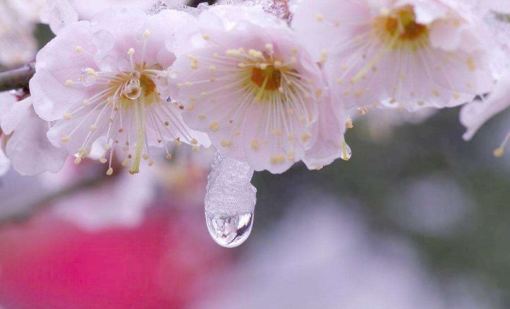 「诗词原创」邓寿康戊戌七言诗草